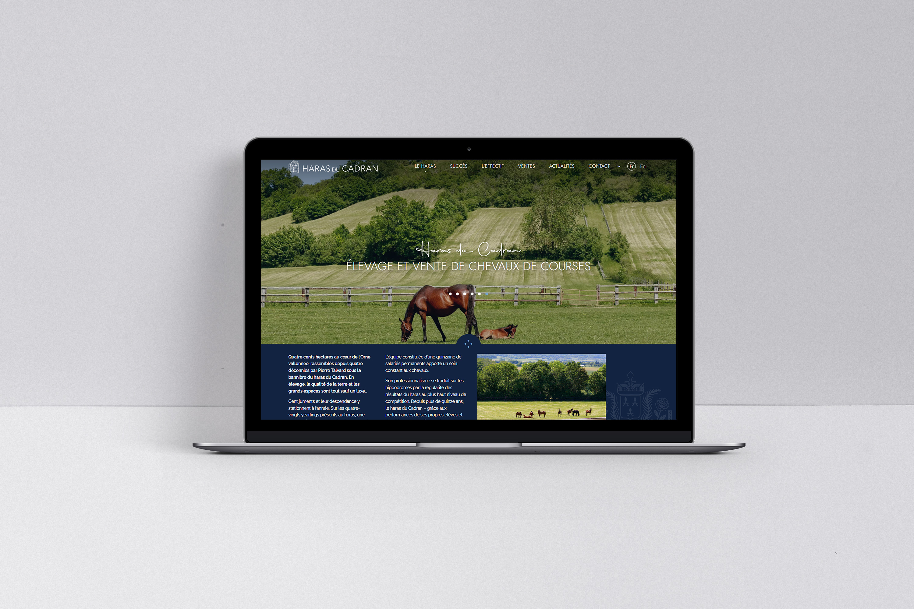 Haras du Cadran Site vitrine 