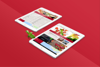 site vitrine pizzeria pouliguen