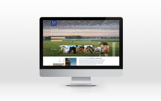 Site internet Haras du Montaigu